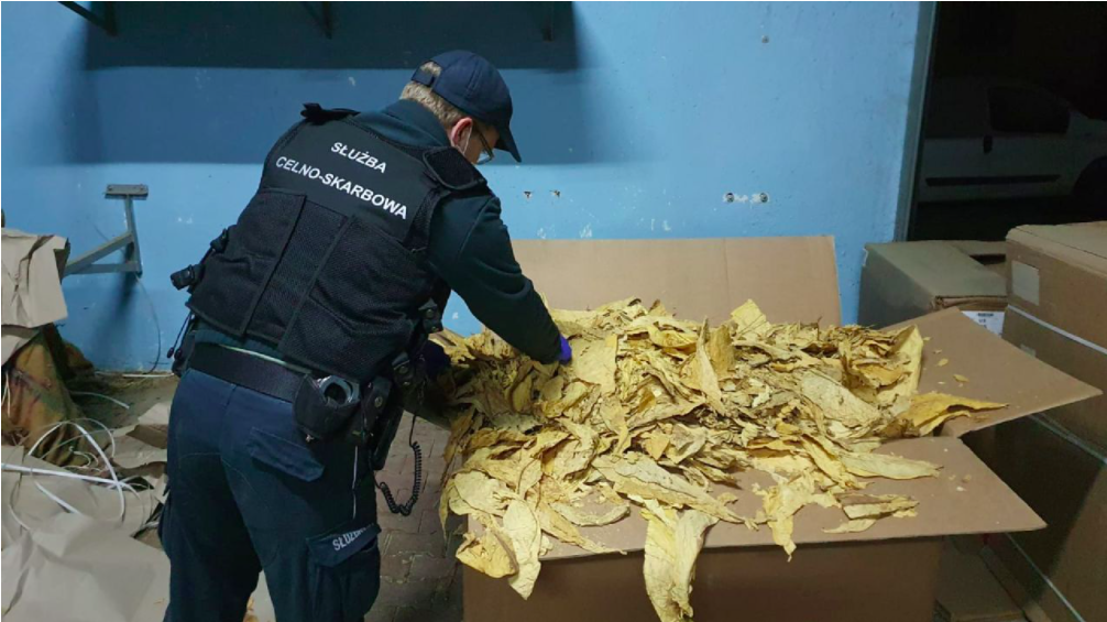 KAS zlikwidował nielegalną krajalnię tytoniu w Opolu