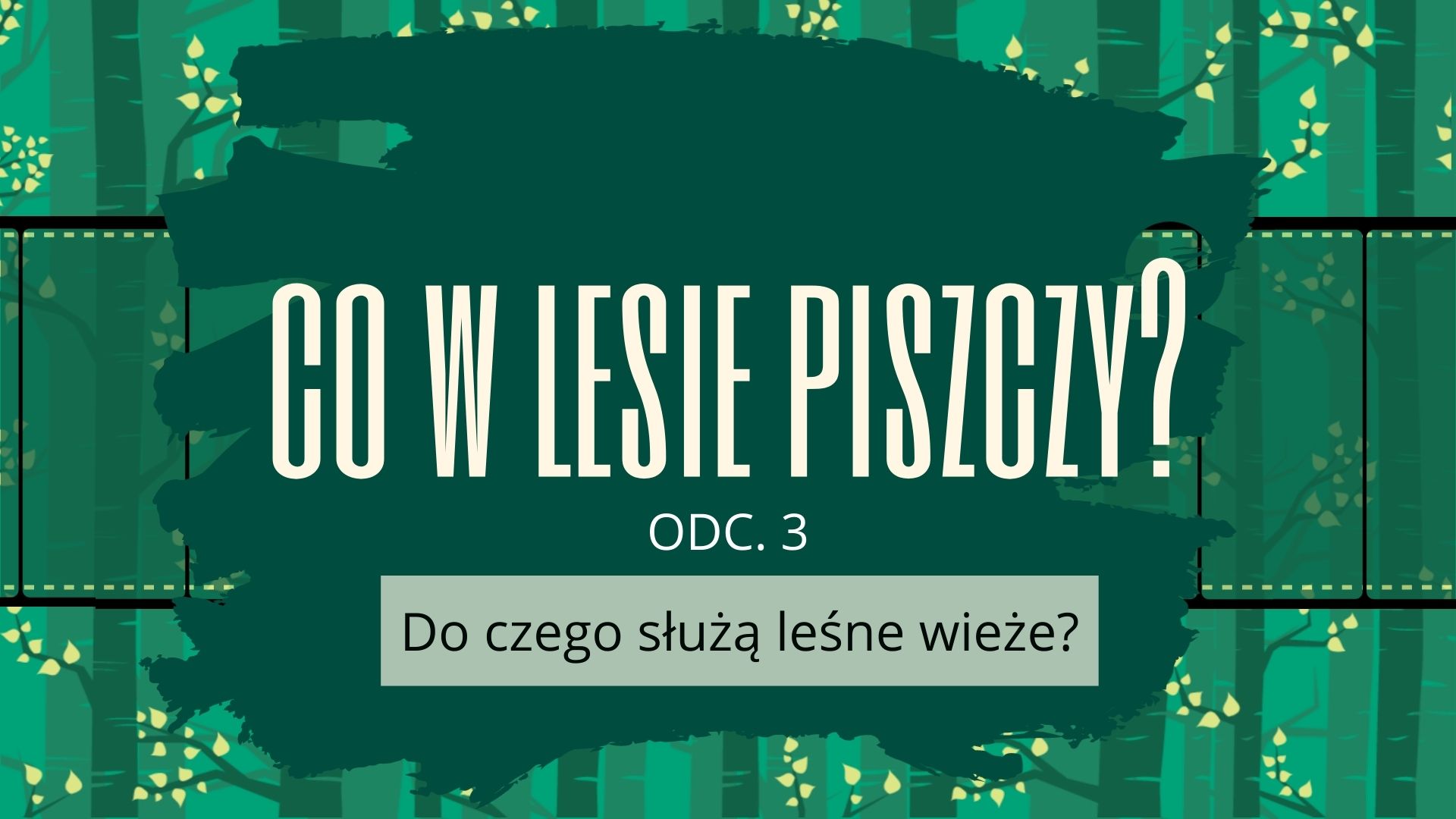 Do czego służą leśne wieże obserwacyjne?