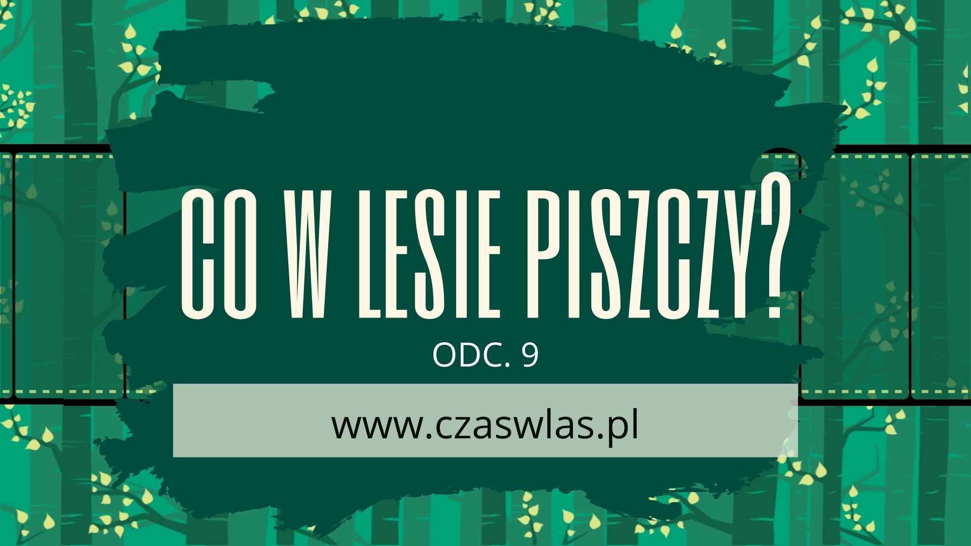 Zaplanuj swoją wycieczkę ze stroną czaswlas.pl