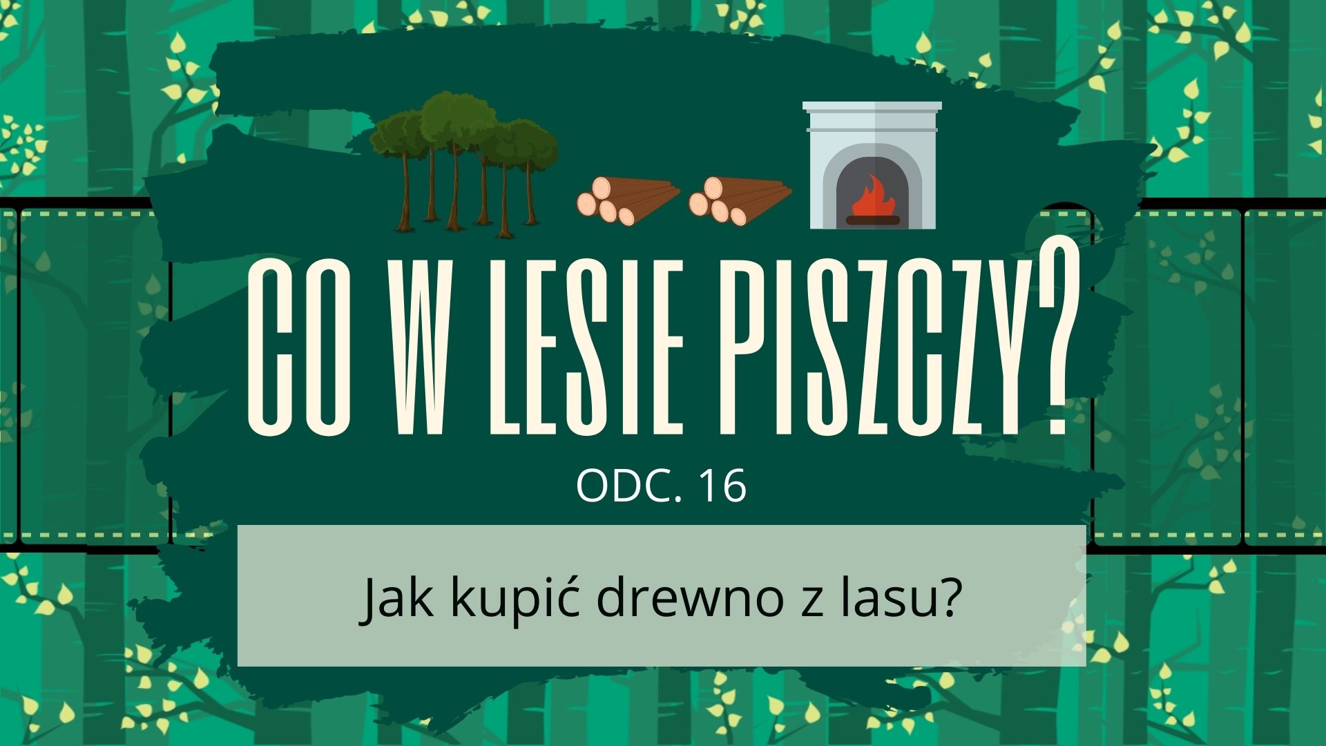 Jak kupić drewno opałowe u leśniczego?