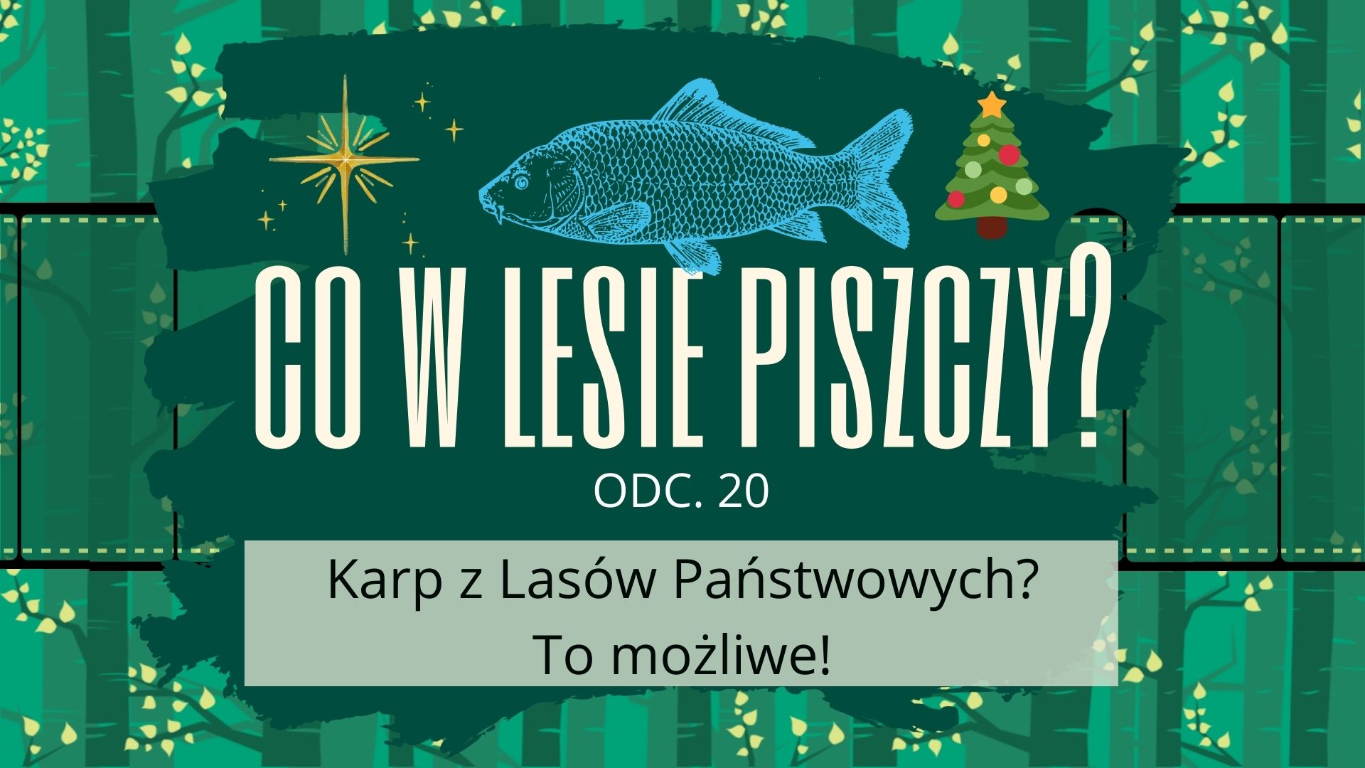To król wśród wigilijnych potraw. Gdzie kupić karpia?