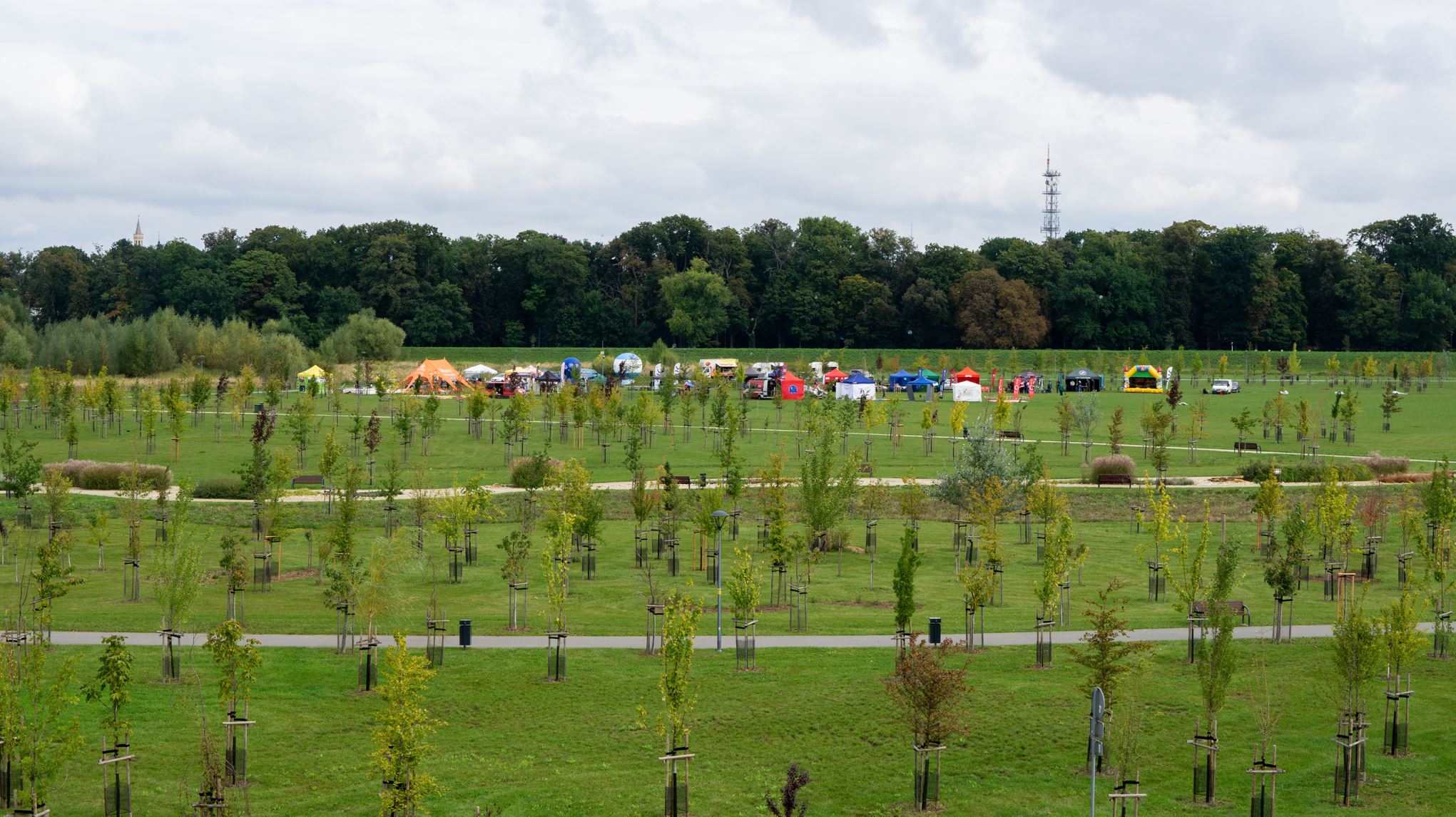 Uwaga kierowco! Zmiana organizacji ruchu na Wyspie Bolko od 16.07. Sprawdź, co się zmieni