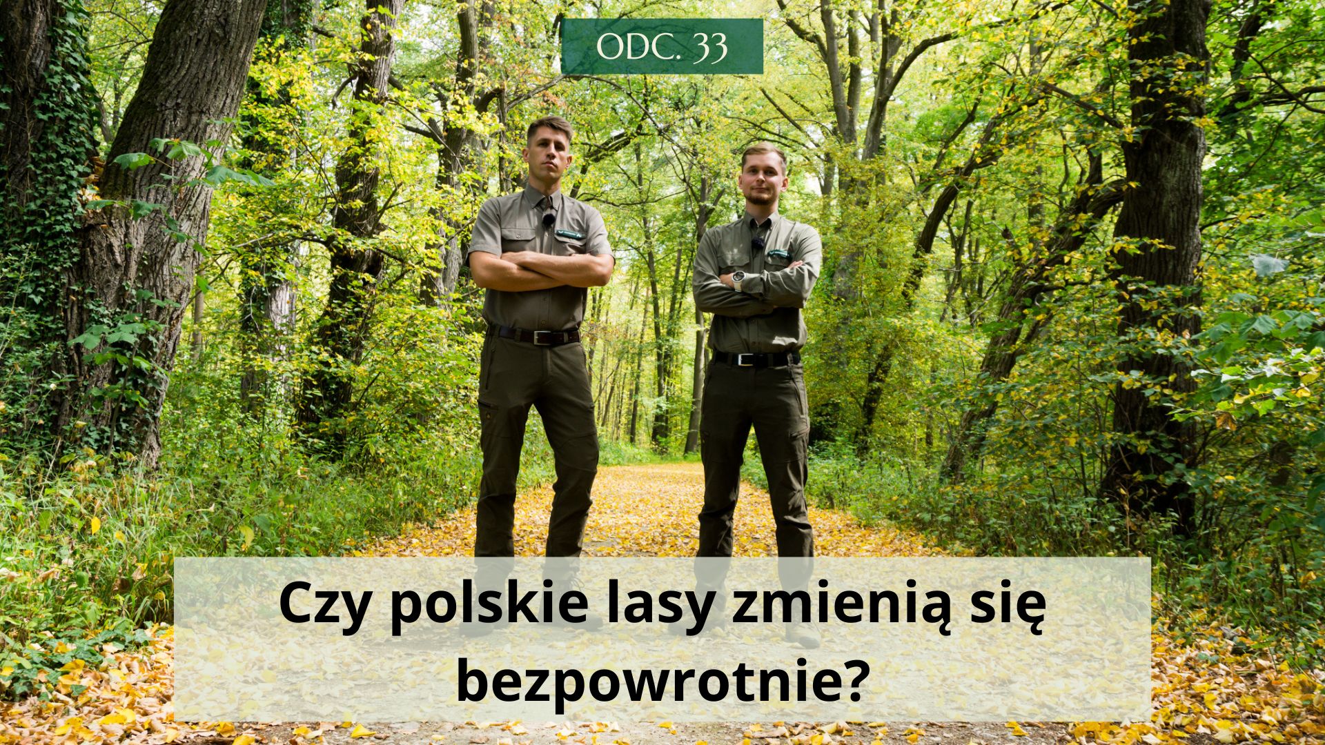 Czy polskie lasy zmienią się bezpowrotnie? #33
