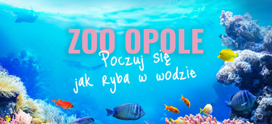 Nowe akwarium w ZOO Opole otwarte już dla zwiedzających!