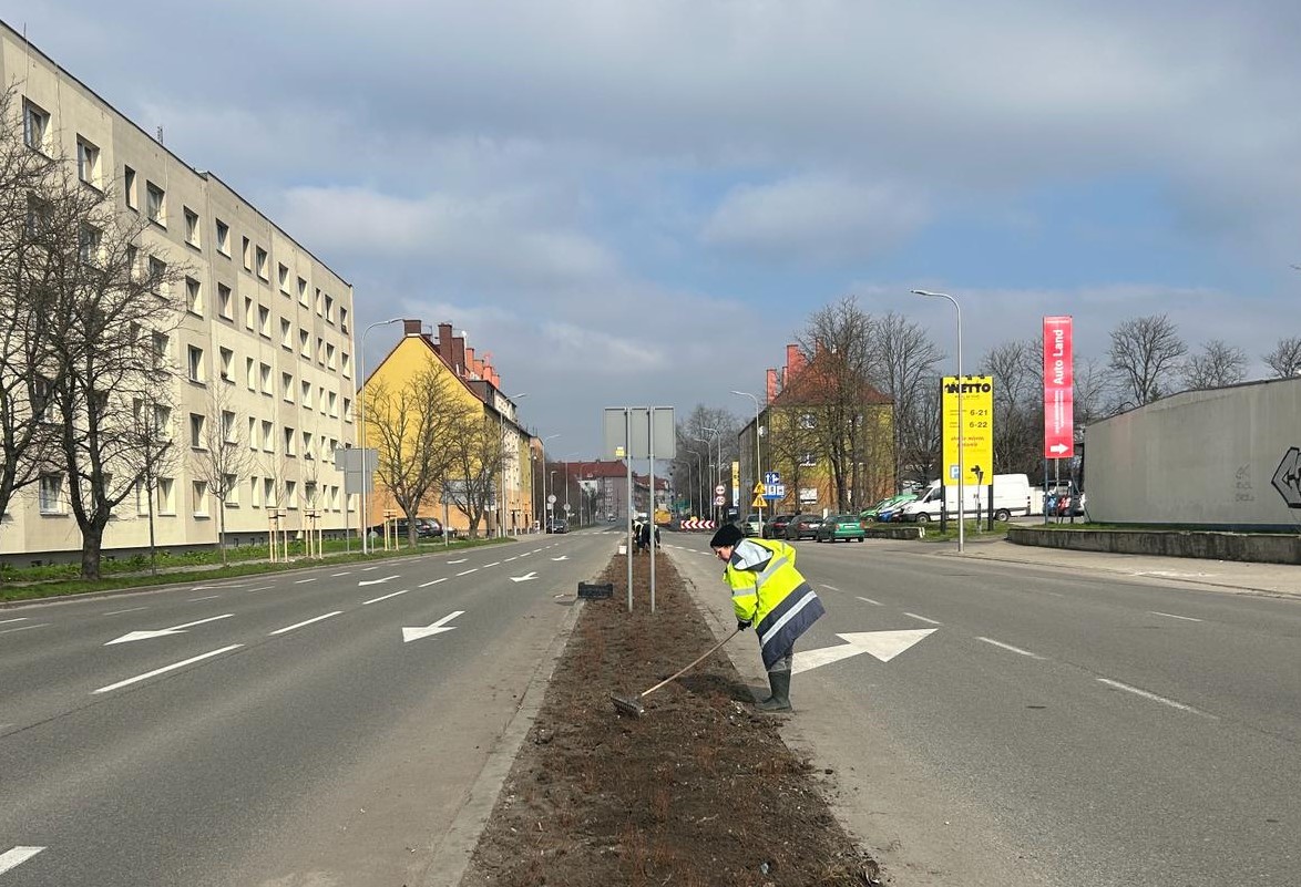 Kilka tysięcy nowych nasadzeń na terenie miasta