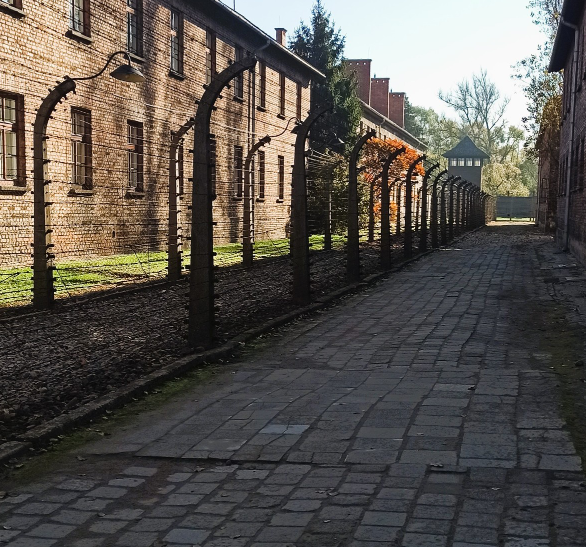 Opolscy policjanci w Auschwitz: Seminarium o prawach człowieka i przeciwdziałaniu dyskryminacji