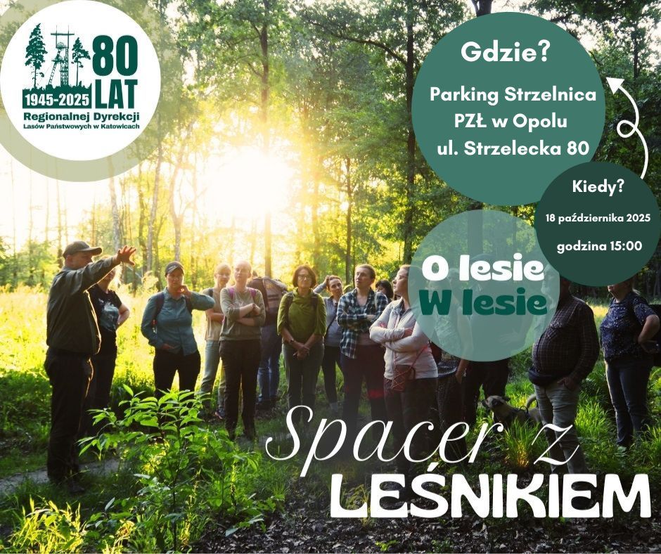 Nadleśnictwo Opole zaprasza na spacer z leśnikiem! Sprawdź szczegóły